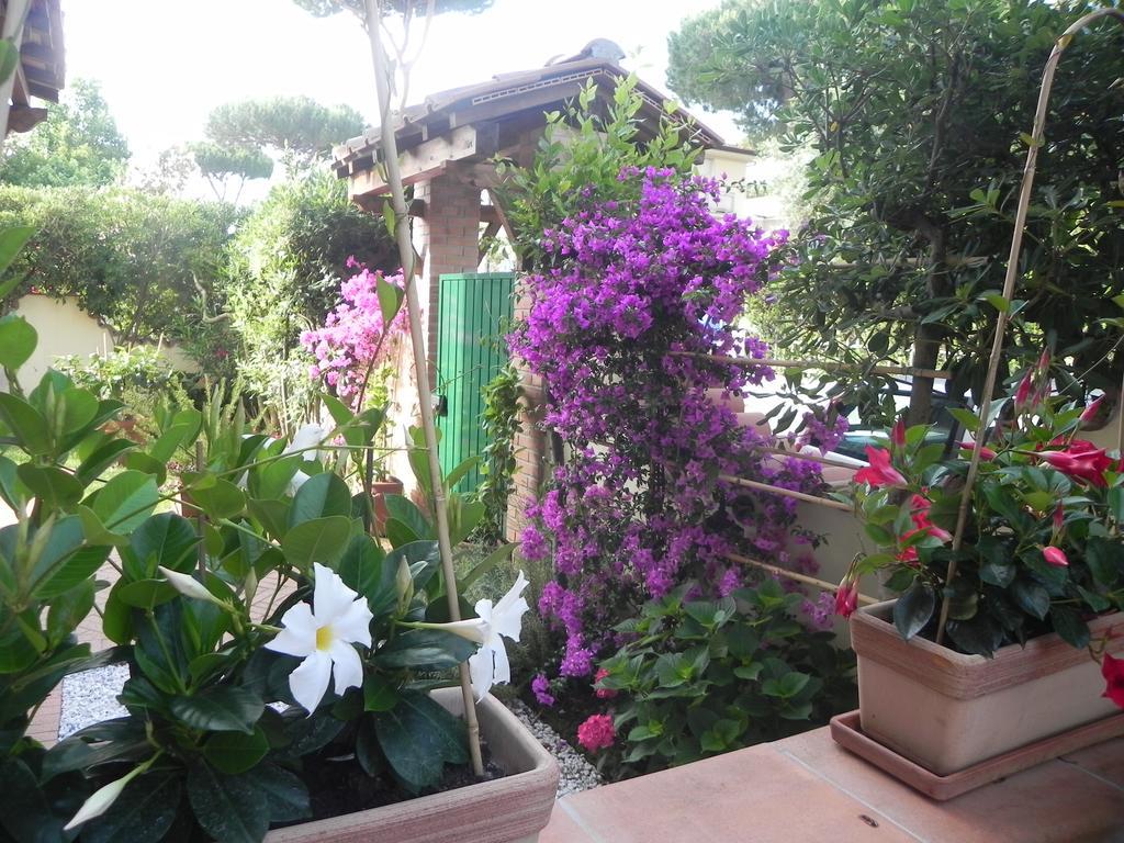 Villa Il Fortino Lido di Camaiore Exterior photo