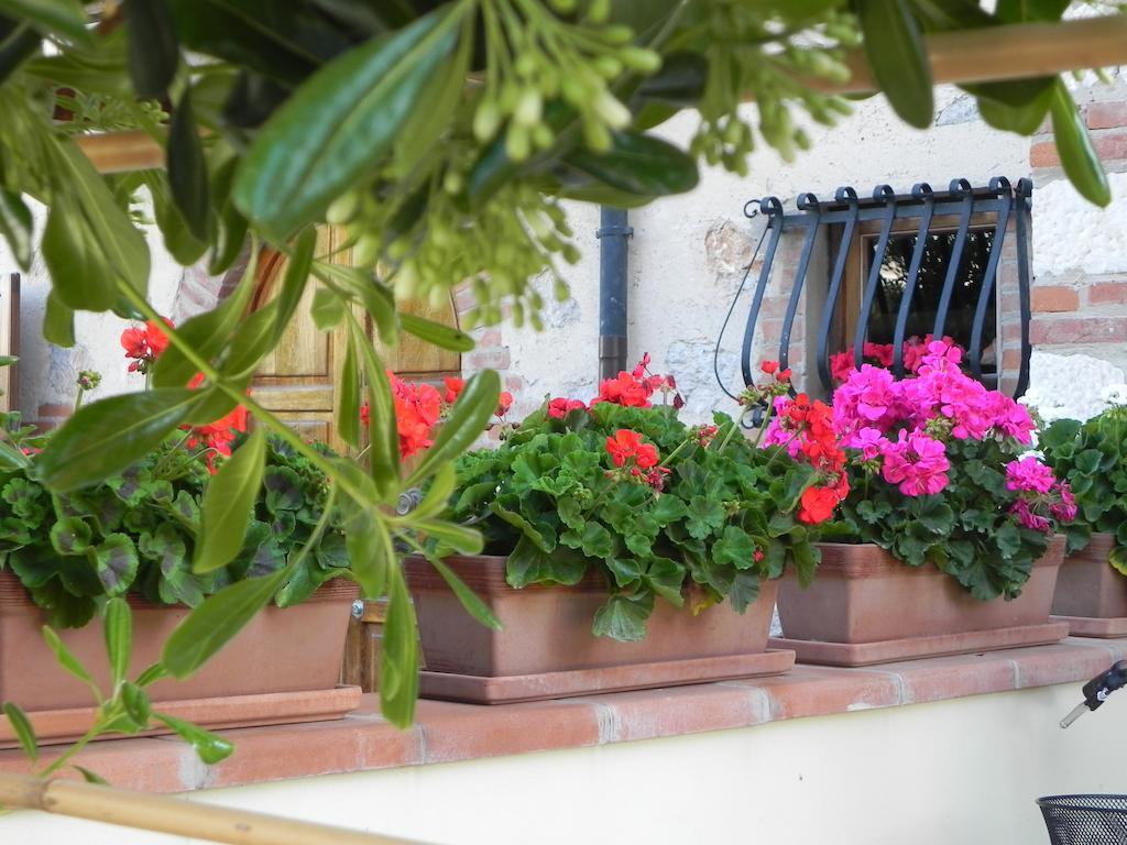 Villa Il Fortino Lido di Camaiore Exterior photo