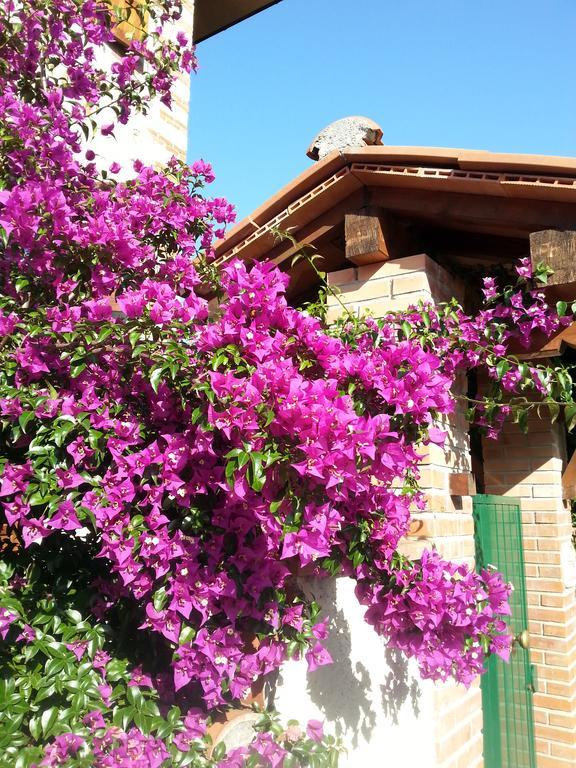 Villa Il Fortino Lido di Camaiore Exterior photo