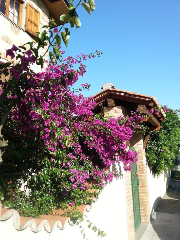 Villa Il Fortino Lido di Camaiore Exterior photo